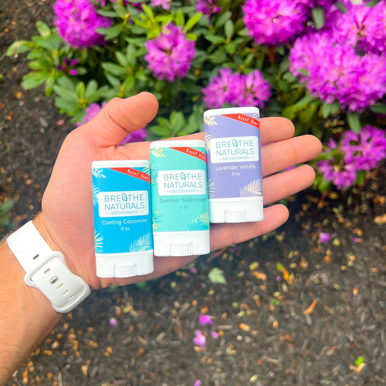6-Pack Travel Deodorants