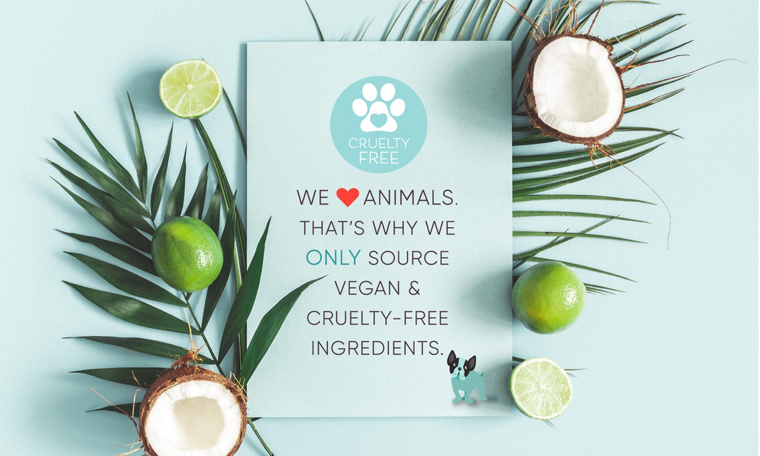 Is Your Deodorant Vegan & Cruelty Free? 🐇 🌱 ⁣