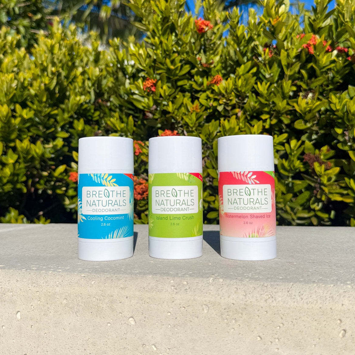 The Vacation Pit Pack